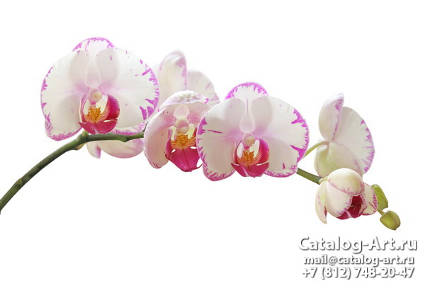 картинки для фотопечати на потолках, идеи, фото, образцы - Потолки с фотопечатью - Розовые орхидеи 29